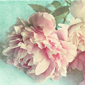 Meet your Posher, ! kingman